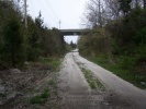 The Wildwood Branch under the Garden State Parkway in April 2006. Photo by Thomas Duke. 