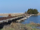 Edward Creek trestle, burned 1985. Shown in 2006. Photo by Thomas Duke.