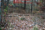 Abandoned industrial spurs throughout South Jersey